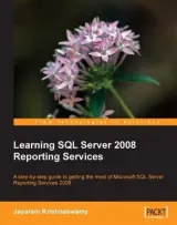 Portada de Learning SQL Server 2008 Reporting Services